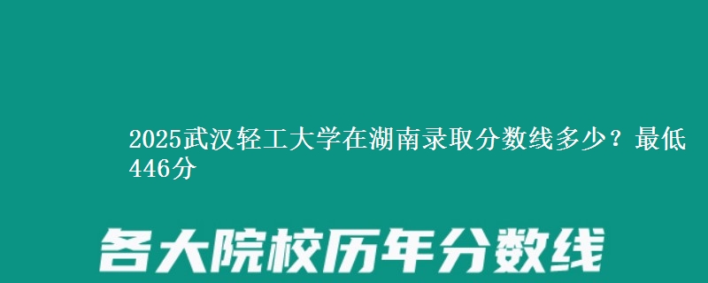 2025武汉轻工大学在湖南录取分数线多少？最低446分