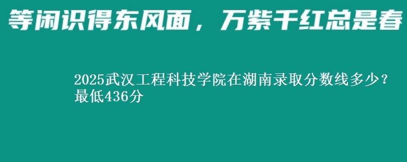 2025武汉工程科技学院在湖南录取分数线多少？最低436分
