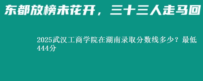 2025武汉工商学院在湖南录取分数线多少？最低444分