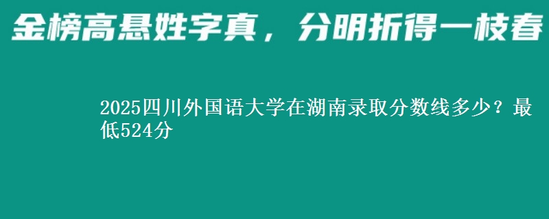 2025四川外国语大学在湖南录取分数线多少？最低524分