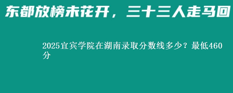 2025宜宾学院在湖南录取分数线多少？最低460分