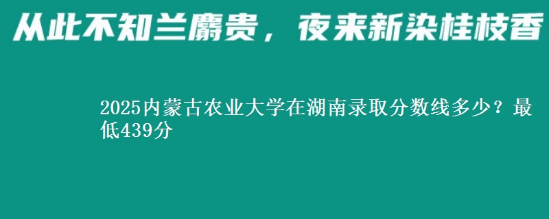 2025内蒙古农业大学在湖南录取分数线多少？最低439分