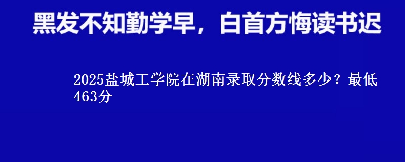 2025盐城工学院在湖南录取分数线多少？最低463分