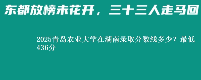 2025青岛农业大学在湖南录取分数线多少？最低436分
