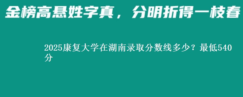 2025康复大学在湖南录取分数线多少？最低540分