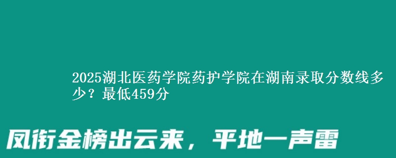 2025湖北医药学院药护学院在湖南录取分数线多少？最低459分
