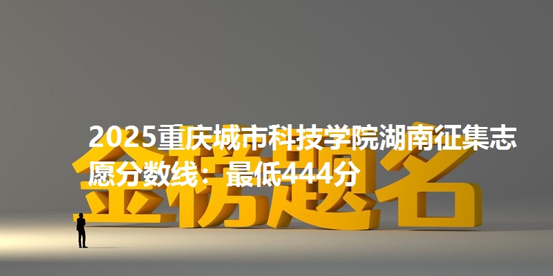 2025重庆城市科技学院湖南征集志愿分数线:最低444分