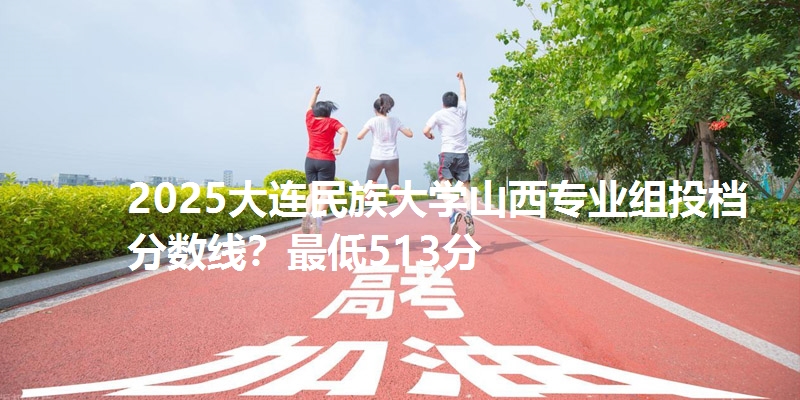 2025大连民族大学山西专业组投档分数线？最低513分
