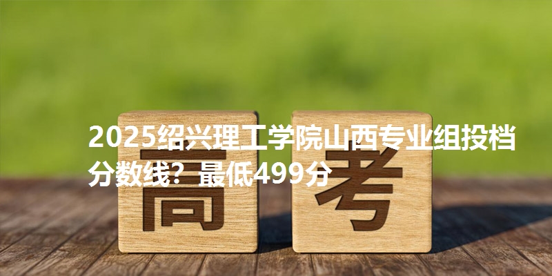 2025绍兴理工学院山西专业组投档分数线?最低499分
