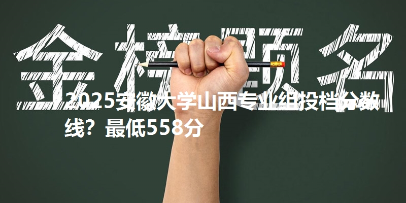 2025安徽大学山西专业组投档分数线？最低558分