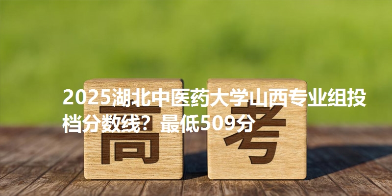 2025湖北中医药大学山西专业组投档分数线?最低509分