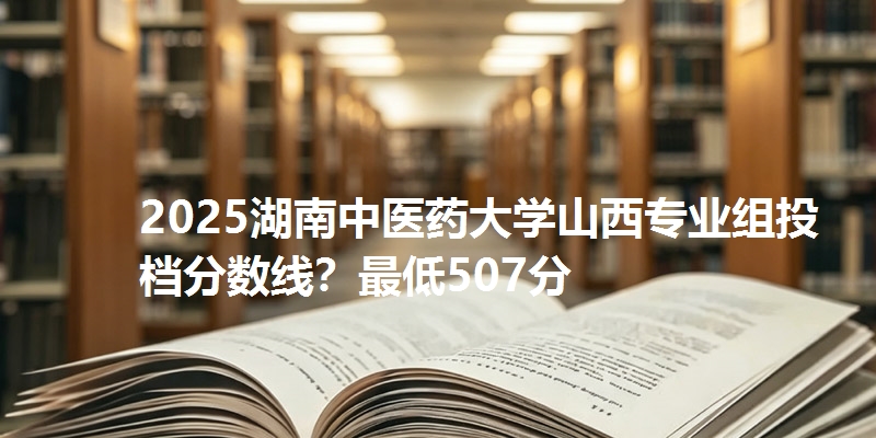 2025湖南中医药大学山西专业组投档分数线?最低507分