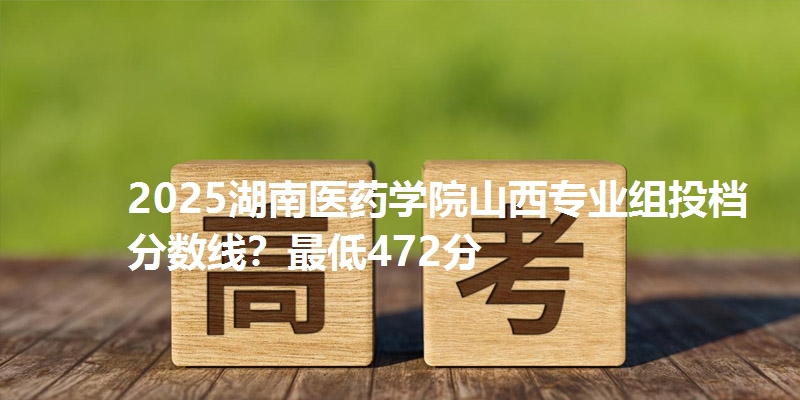 2025湖南医药学院山西专业组投档分数线?最低472分