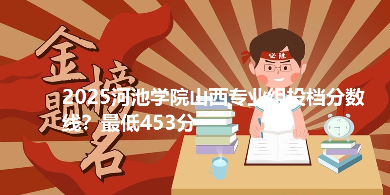 2025河池学院山西专业组投档分数线?最低453分