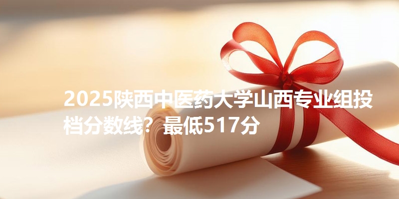 2025陕西中医药大学山西专业组投档分数线?最低517分