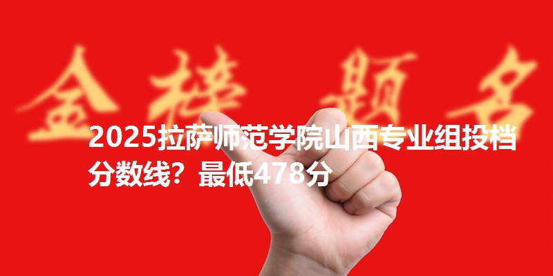 2025拉萨师范学院山西专业组投档分数线?最低478分