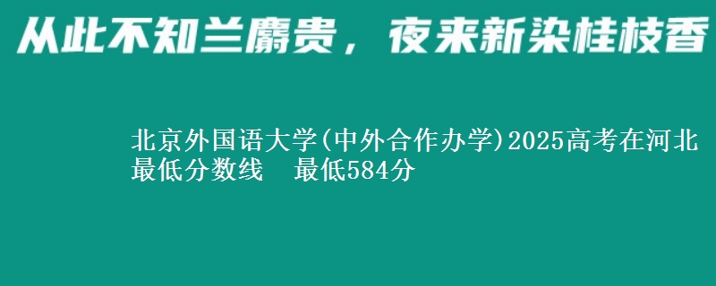 北京外国语大学(中外合作办学)2025高考在河北最低分数线  最低584分
