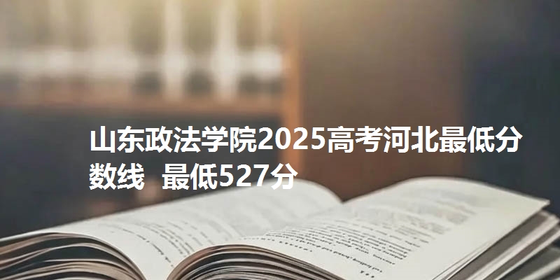 山东政法学院2025高考河北最低分数线 最低527分