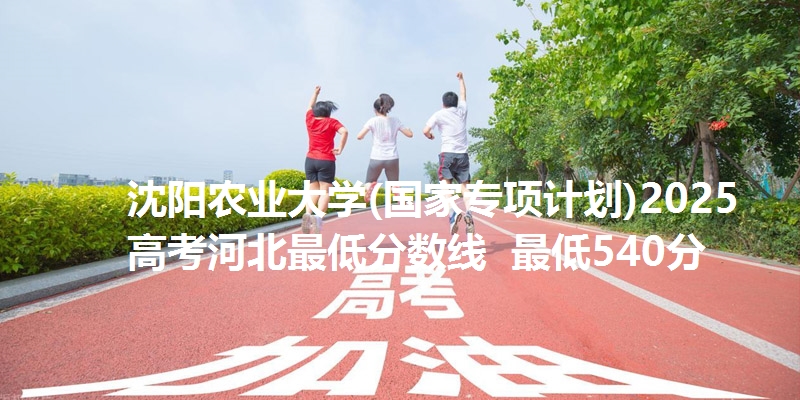 沈阳农业大学(国家专项计划)2025高考河北最低分数线 最低540分