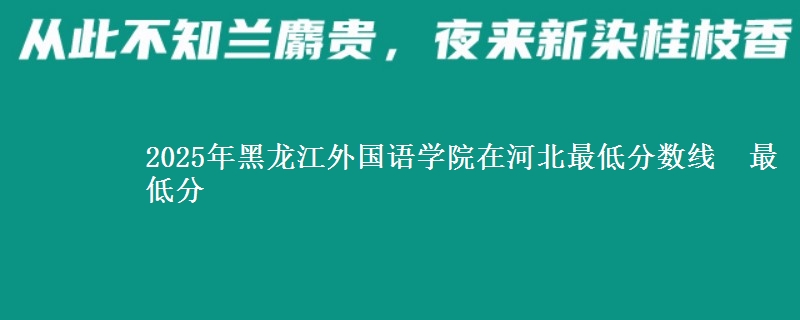 2025年黑龙江外国语学院在河北最低分数线  最低分