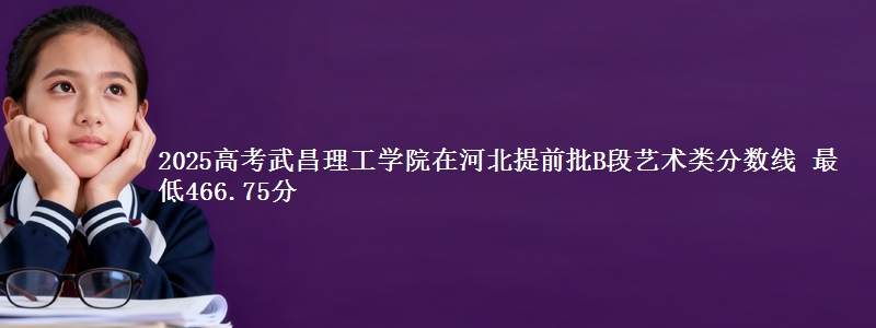 2025年武昌理工学院在河北提前批B段艺术类分数线 最低466.75分