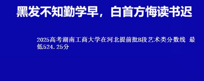 2025年湖南工商大学在河北提前批B段艺术类分数线 最低524.25分
