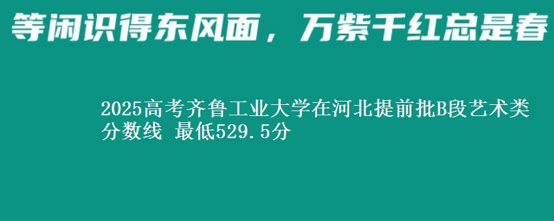 2025年齐鲁工业大学在河北提前批B段艺术类分数线 最低529.5分