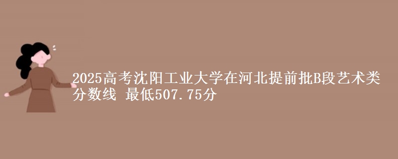 2025年沈阳工业大学在河北提前批B段艺术类分数线 最低507.75分