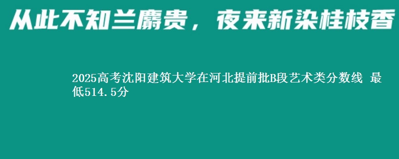 2025年沈阳建筑大学在河北提前批B段艺术类分数线 最低514.5分
