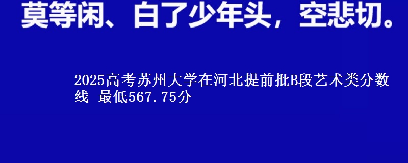 2025年苏州大学在河北提前批B段艺术类分数线 最低567.75分