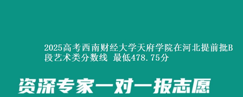 2025年西南财经大学天府学院在河北提前批B段艺术类分数线 最低478.75分