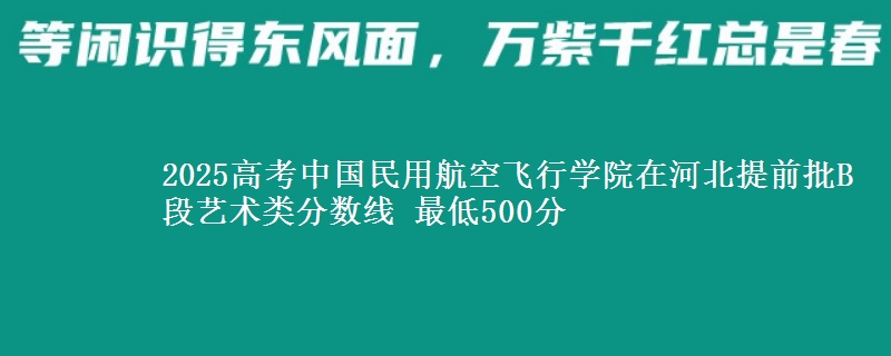 2025高考中国民用航空飞行学院在河北提前批B段艺术类分数线 最低500分
