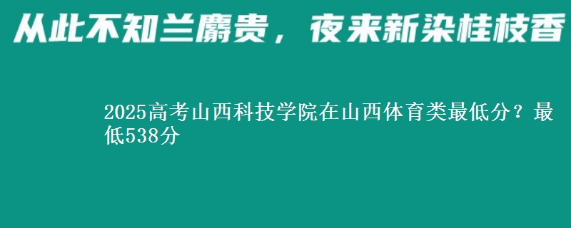 2025年山西科技学院在山西体育类最低分？最低538分
