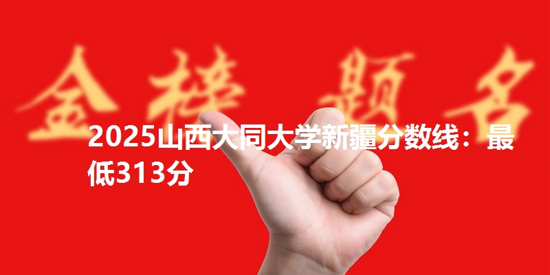 2025山西大同大学新疆分数线:最低313分