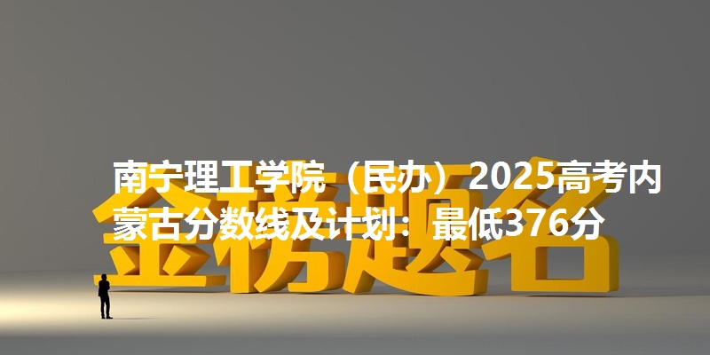 南宁理工学院(民办)2025高考内蒙古分数线及计划:最低376分