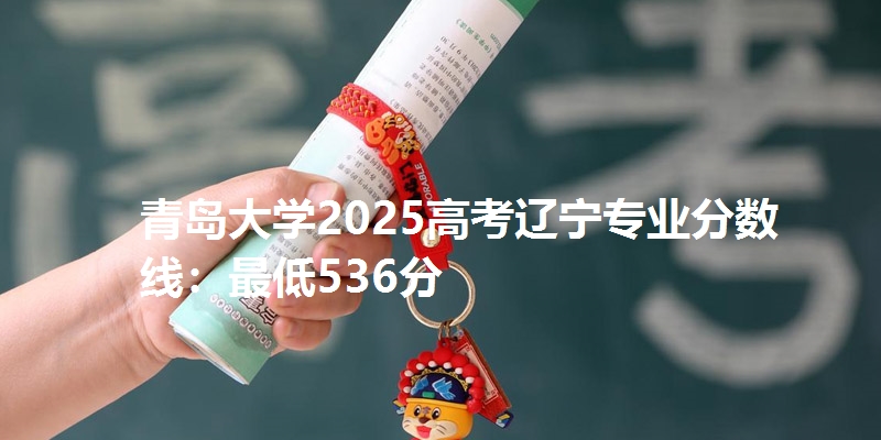 青岛大学2025高考辽宁专业分数线:最低536分