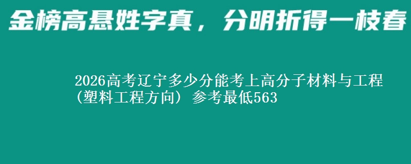 2026高考辽宁多少分能考上高分子材料与工程(塑料工程方向) 参考最低563