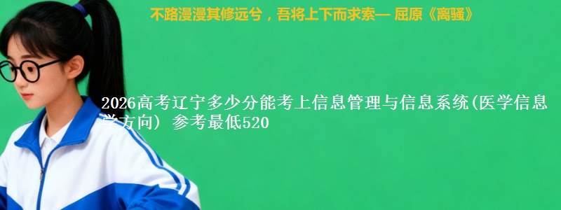 2026高考辽宁多少分能考上信息管理与信息系统(医学信息学方向) 参考最低520