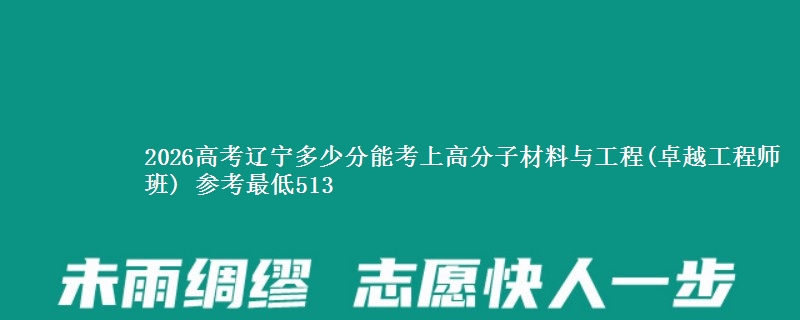 2026高考辽宁多少分能考上高分子材料与工程(卓越工程师班) 参考最低513