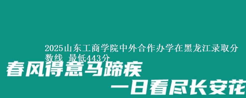 2025山东工商学院中外合作办学在黑龙江录取分数线 最低443分