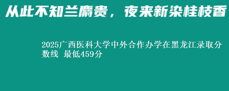 2025广西医科大学中外合作办学在黑龙江录取分数线 最低459分