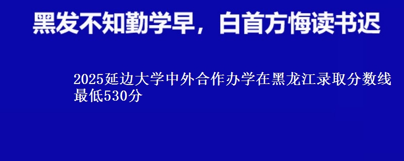2025延边大学中外合作办学在黑龙江录取分数线 最低530分