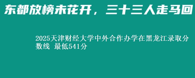2025天津财经大学中外合作办学在黑龙江录取分数线 最低541分
