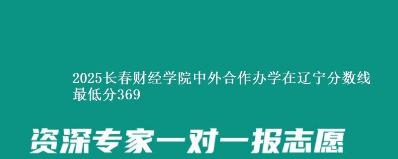 2025长春财经学院中外合作办学在辽宁分数线 最低分369