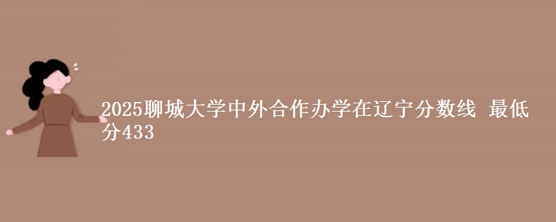 2025聊城大学中外合作办学在辽宁分数线 最低分433