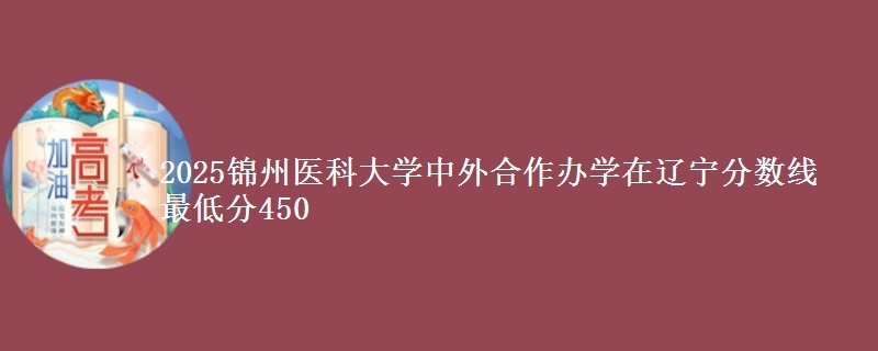 2025锦州医科大学中外合作办学在辽宁分数线 最低分450