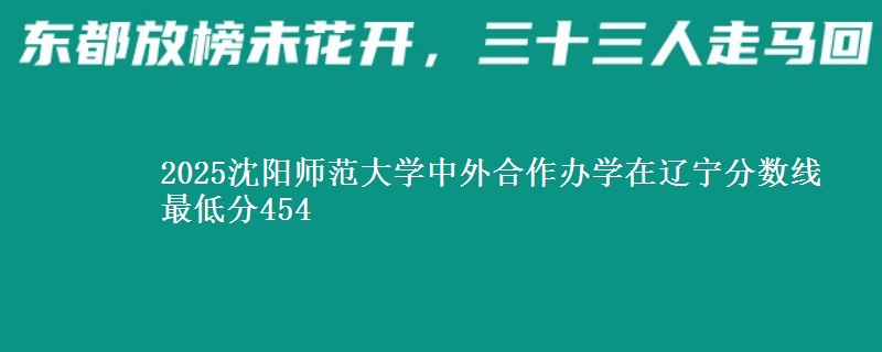 2025沈阳师范大学中外合作办学在辽宁分数线 最低分454