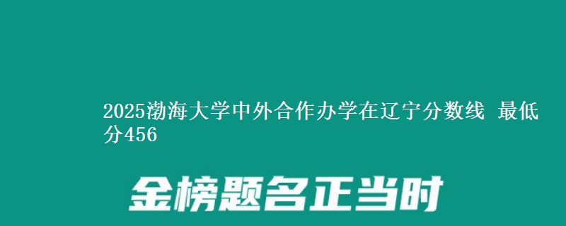 2025渤海大学中外合作办学在辽宁分数线 最低分456