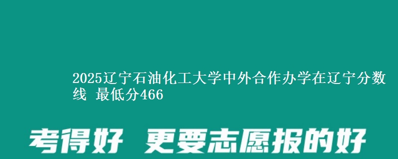 2025辽宁石油化工大学中外合作办学在辽宁分数线 最低分466