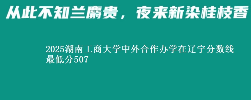 2025湖南工商大学中外合作办学在辽宁分数线 最低分507